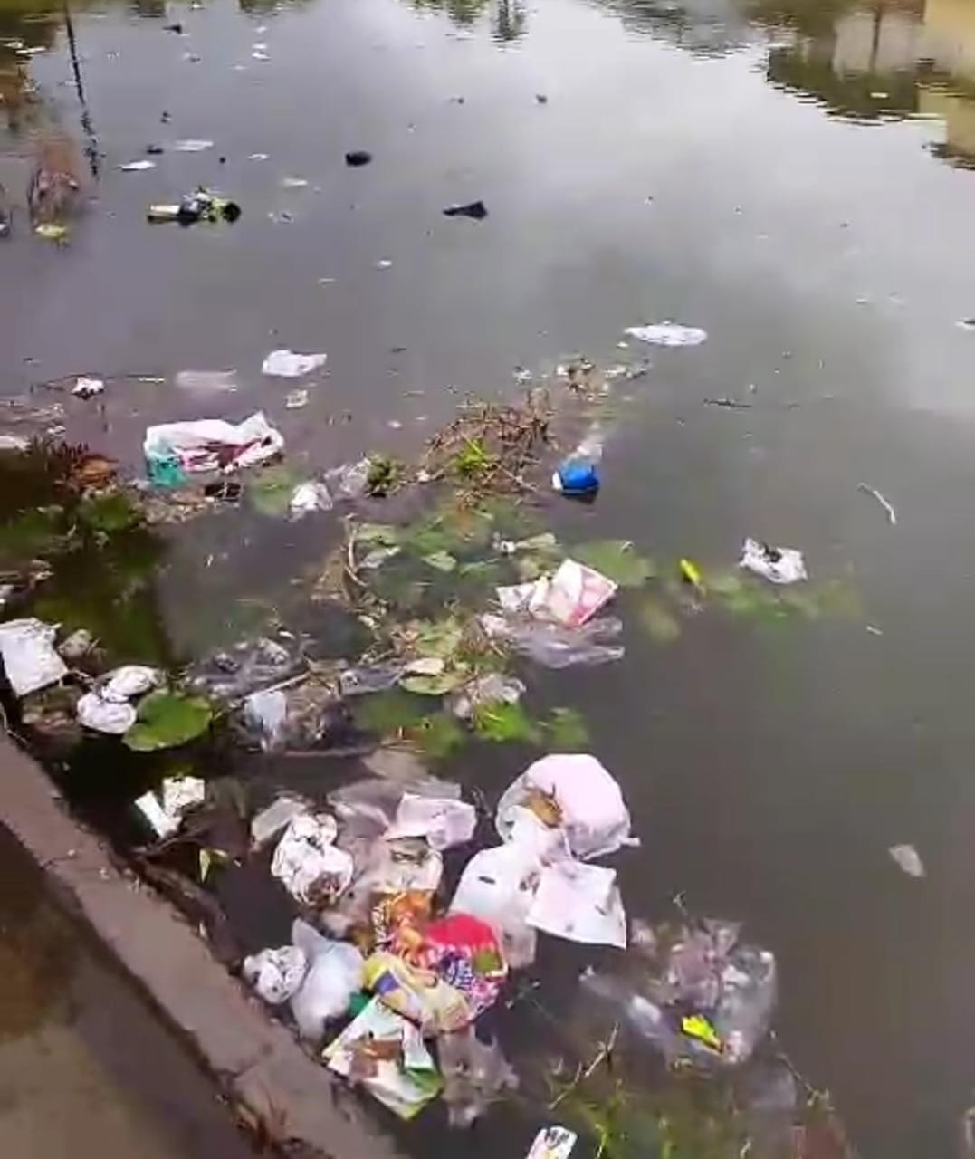 कोटद्वार का रमेश नगर: जलभराव और कचरे के ‘अभिशाप’ से त्रस्त, डेंगू का बढ़ता खतरा